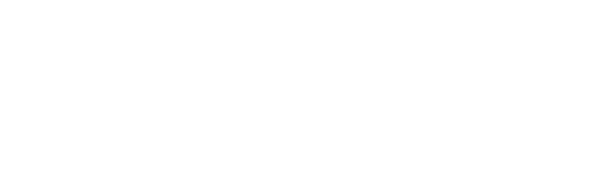 Casiny Casino Logo